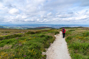 Wicklow Way Wanderweg