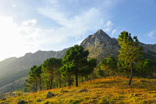 Naturpark Sierra de Grazalema