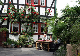 Rosenfachwerk im Siebengebirge 