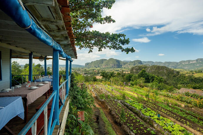 Öko-Finca im Tal Vinales