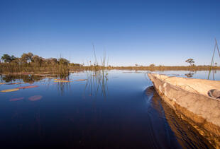 Okavango Delta