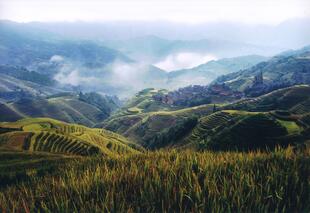 Reisterrasse Long Sheng