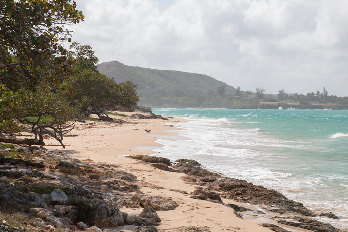 Strand in Jibacoa