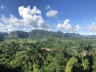 Viñales