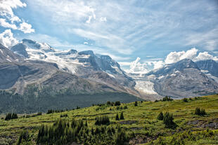 Rockies 