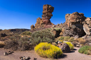 Berühmte Steinformation im Teide Nationalpark