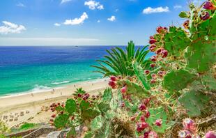 Fuerteventura Strand