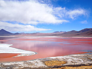 Laguna Colorada