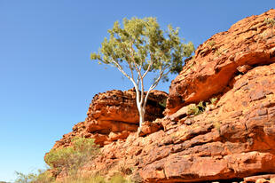 Kings Canyon 