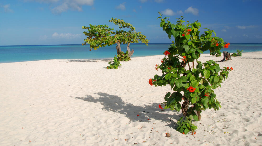 Playa Blanca