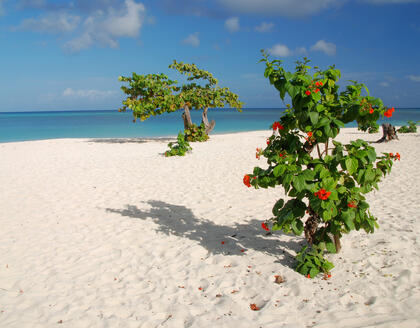 Playa Blanca