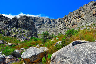 Tafelberg