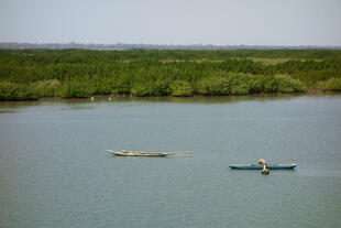 Fluss von Casamance