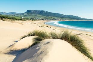 Strand von Bolonia