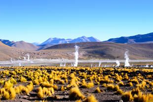 Atacamawüste