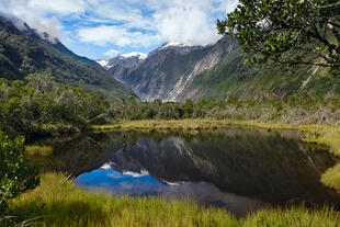 Peter's Pool Franz Josef