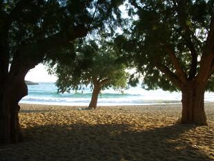 Strand in Skala 