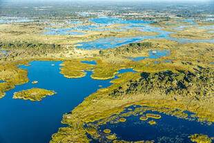 Das Okavango Delta von oben