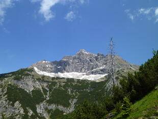 Der Berg Hochvogel 2596 m 