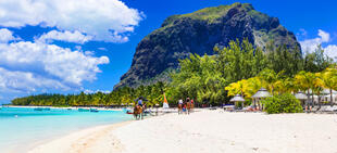 Le Morne