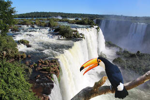 Iguazu Wasserfälle