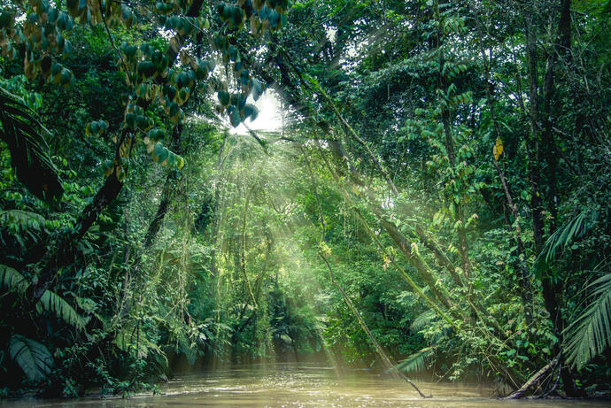 Tortuguero Nationalpark