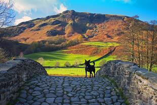 Yorkshire Dales-Nationalpark