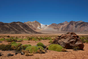 Atacamawüste