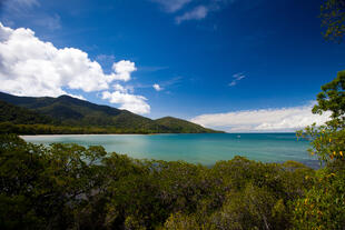 Cape Tribulation 