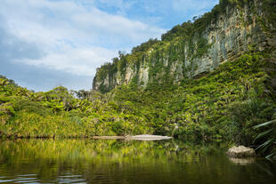 Porarari Fluss im Paparoa Nationalpark 