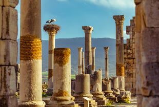 Volubilis bei Meknes 