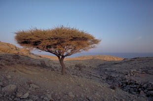 Musandam