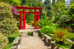 Sonnige Wege im Botanischen Garten 