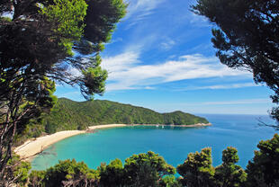 Abel Tasman National Park 