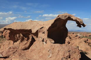 Arbol de Piedra