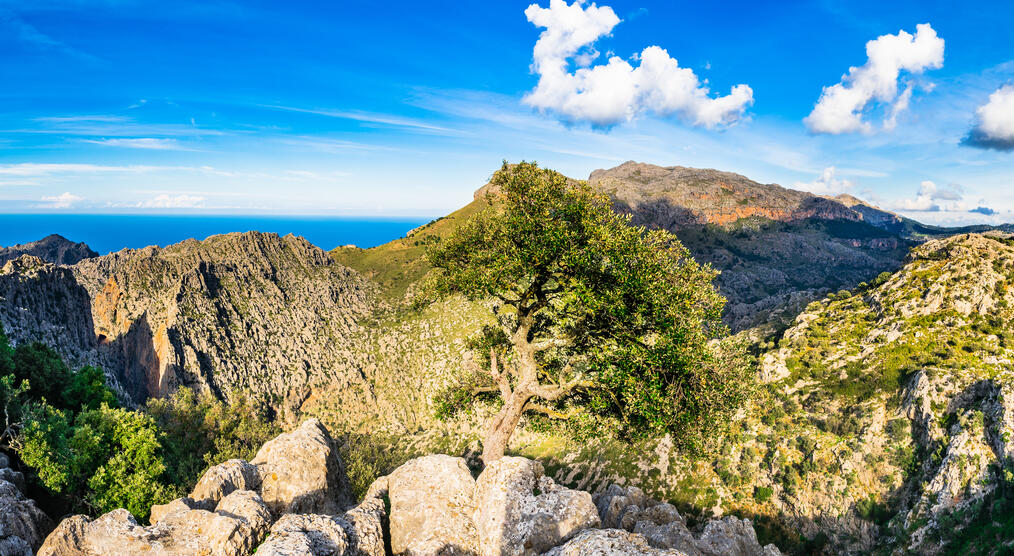 Tramuntana Gebirge