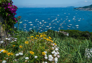 Blumen und Boote im Meer