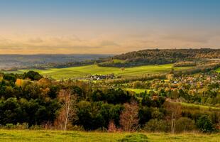 Englische Landschaftsansicht von Box Hill in den Surrey Hills. Sanfte, grüne Hügel erstrecken sich unter einem weiten Himmel, durchzogen von Wanderwegen.