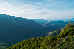 Dorgali