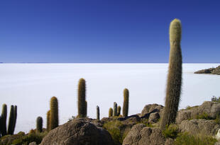 Salar de Uyuni