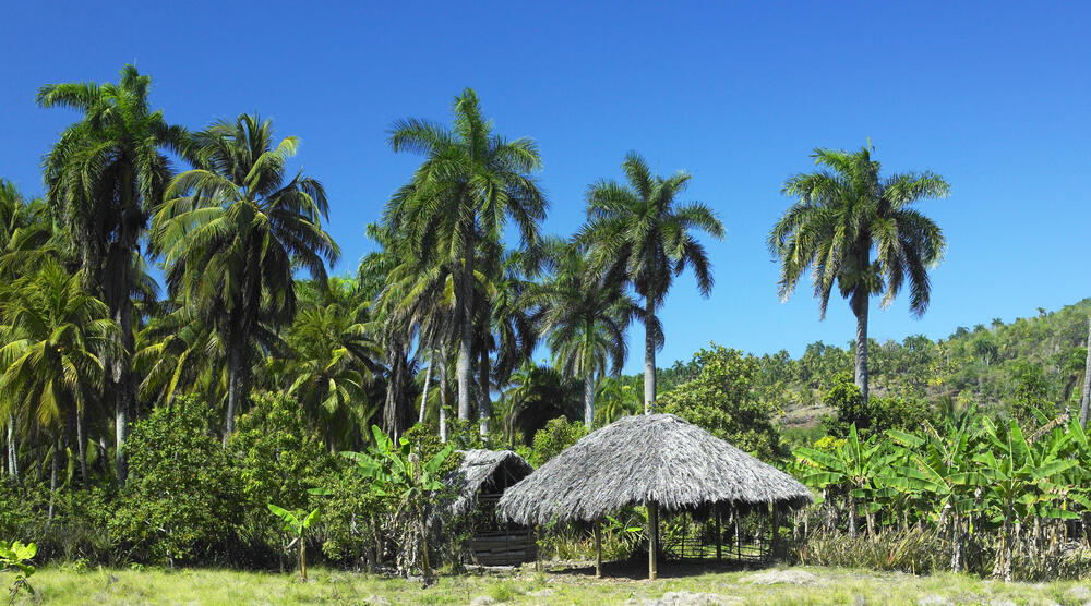 Humboldt-Nationalpark