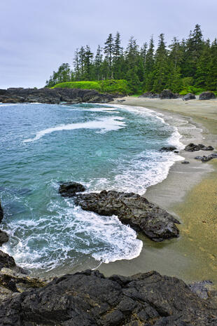 Bucht im Pacific Rim National Park