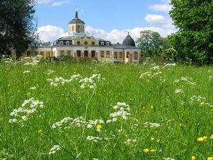 Schloss Belvedere