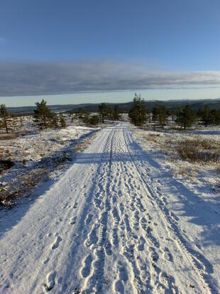 Nordfinnland 