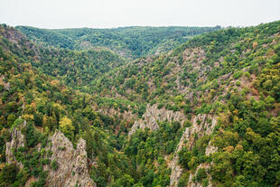 Rosstreppe in Thale