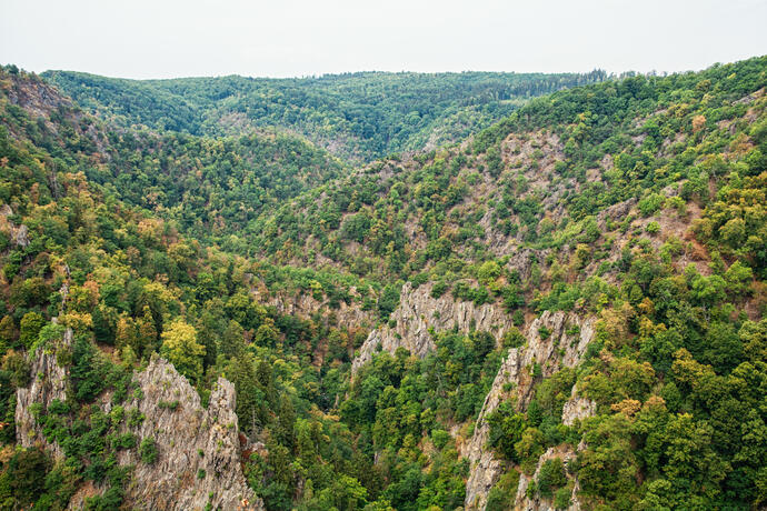 Rosstreppe in Thale