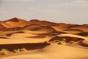 Sanddünen von Erg Chebbi