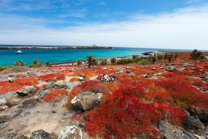 Südinsel der Galapagos Inseln 