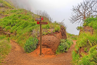 Ausgeschilderte Wanderwege 