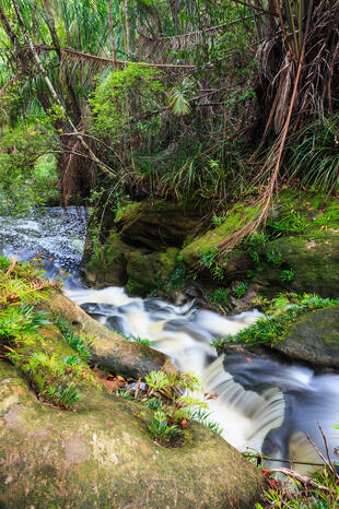 Bako National Park 